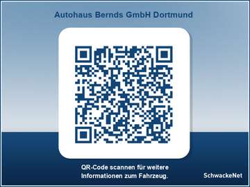 Elektro 180 GT Driving Paket Safety Paket