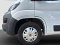 Fiat Ducato Luxusbus Panorama L1H1 8+SitzerCarplay Weiß - thumbnail 20