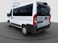 Fiat Ducato Luxusbus Panorama L1H1 8+SitzerCarplay Weiß - thumbnail 3