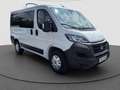 Fiat Ducato Luxusbus Panorama L1H1 8+SitzerCarplay Weiß - thumbnail 7