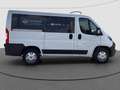 Fiat Ducato Luxusbus Panorama L1H1 8+SitzerCarplay Weiß - thumbnail 6