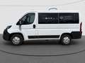 Fiat Ducato Luxusbus Panorama L1H1 8+SitzerCarplay Weiß - thumbnail 2