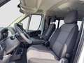Fiat Ducato Luxusbus Panorama L1H1 8+SitzerCarplay Weiß - thumbnail 9