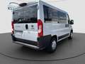 Fiat Ducato Luxusbus Panorama L1H1 8+SitzerCarplay Weiß - thumbnail 5