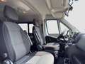 Fiat Ducato Luxusbus Panorama L1H1 8+SitzerCarplay Weiß - thumbnail 16