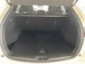 Mazda CX-5 2.5 Homura AUTOMATIK Matrix, Bose, 360°, Navi Weiß - thumbnail 7