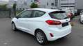 Ford Fiesta Blanc - thumbnail 6