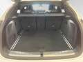 BMW X4 xDrive20i M Sportpaket|HiFi|ParkingAss.|19"LMR Blanco - thumbnail 15