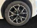 BMW X4 xDrive20i M Sportpaket|HiFi|ParkingAss.|19"LMR Blanco - thumbnail 5