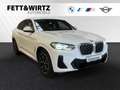 BMW X4 xDrive20i M Sportpaket|HiFi|ParkingAss.|19"LMR Blanco - thumbnail 1