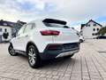Borgward BX5 Limited Edition Weiß - thumbnail 11