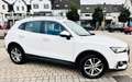Borgward BX5 Limited Edition Weiß - thumbnail 15