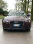 Audi A5 SPB 2.0 TDI 190 CV clean diesel mult. S line editi Lilla - thumbnail 4