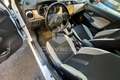 Nissan Micra Micra 1.5 dCi 8V 5 porte Tekna Weiß - thumbnail 11