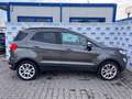 Ford EcoSport 1.0 EcoBoost 125 CV Start&Stop Titanium Grau - thumbnail 2