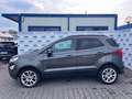 Ford EcoSport 1.0 EcoBoost 125 CV Start&Stop Titanium Grau - thumbnail 14