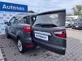 Ford EcoSport 1.0 EcoBoost 125 CV Start&Stop Titanium Grau - thumbnail 10