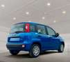 Fiat Panda 1.0 GSE Hybrid*DAB*City-Paket*PDC Blau - thumbnail 3