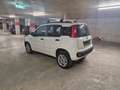 Fiat Panda Panda 4x4 0,9 TwinAir Turbo 85 Pop Pop Weiß - thumbnail 1