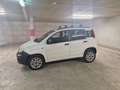 Fiat Panda Panda 4x4 0,9 TwinAir Turbo 85 Pop Pop Weiß - thumbnail 3