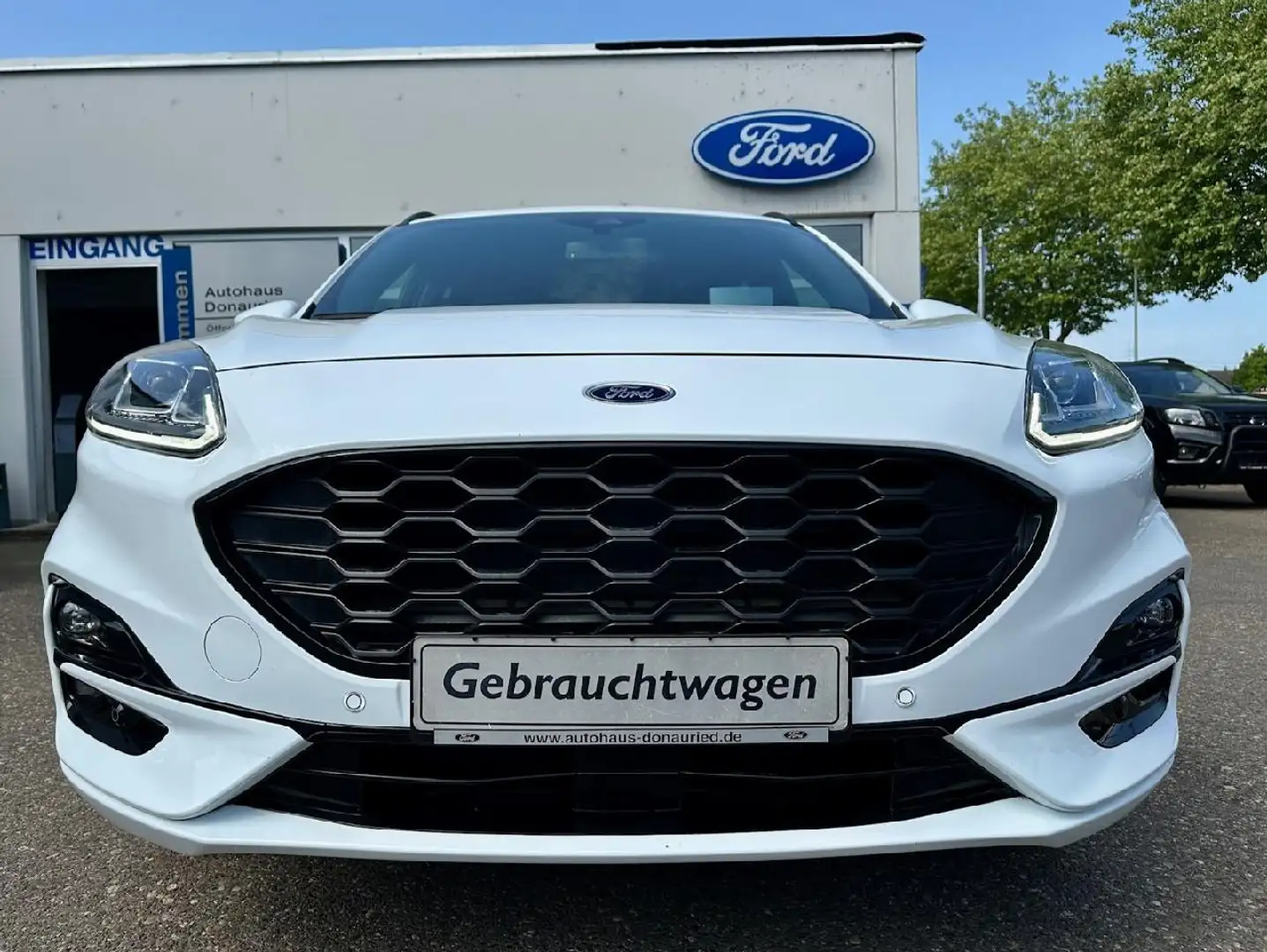 Ford Kuga Plug-In Hybrid ST-Line X Blanco - 2