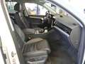 Volkswagen Touareg R-Line 3.0TDI 4M tiptronic LEDER ACC AHK Weiß - thumbnail 4