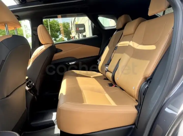 Lexus RX450h 2023, foto 9