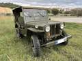 Jeep Willys Groen - thumbnail 5
