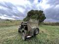Jeep Willys Verde - thumbnail 20