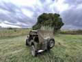 Jeep Willys Verde - thumbnail 21