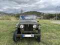 Jeep Willys Verde - thumbnail 15