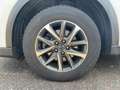 Mazda CX-5 2.2 SKYACTIV-D 184 Advantage Advantage 360 Weiß - thumbnail 12