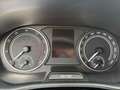 Skoda Fabia Active 1.0 MPI LED, Sitzheizung, Smart Link Argento - thumbnail 12
