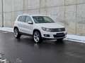 Volkswagen Tiguan Sport&Style 4Motion 2,0TDI 140PS AHK Blanc - thumbnail 8