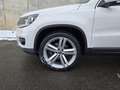 Volkswagen Tiguan Sport&Style 4Motion 2,0TDI 140PS AHK Weiß - thumbnail 17