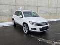 Volkswagen Tiguan Sport&Style 4Motion 2,0TDI 140PS AHK Weiß - thumbnail 11