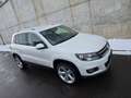 Volkswagen Tiguan Sport&Style 4Motion 2,0TDI 140PS AHK Weiß - thumbnail 9
