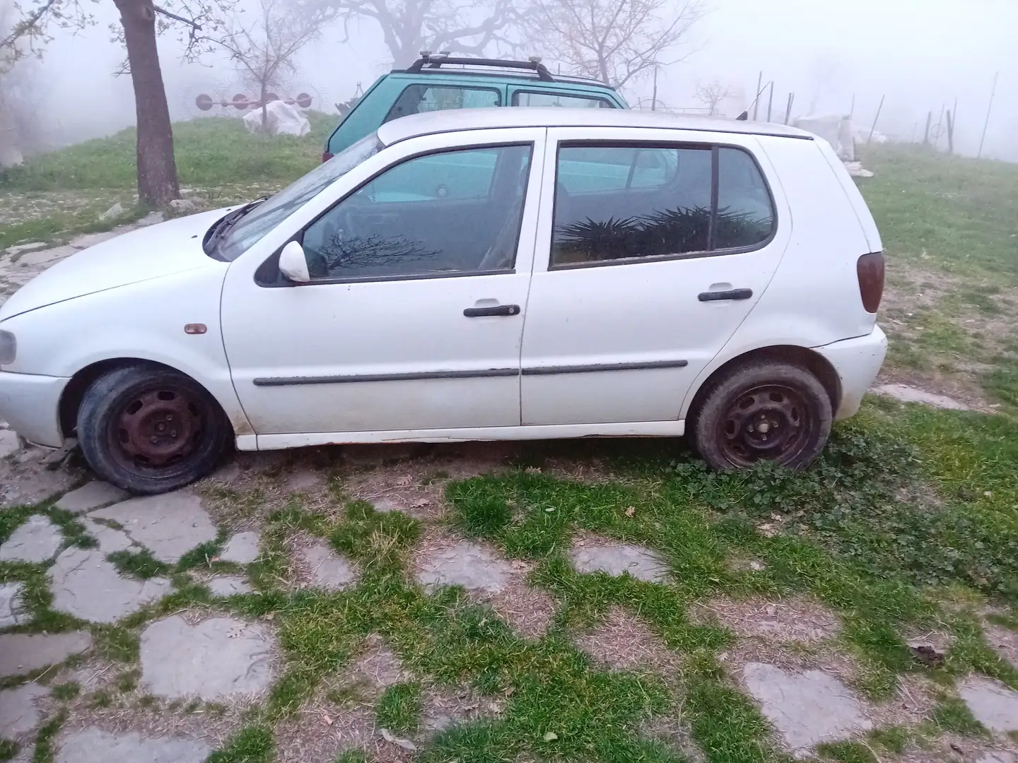 Volkswagen Polo Polo 1.9 diesel, 5 porte colore bianco Bianco - 1