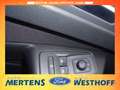 Ford Tourneo Connect Active 2.0 EcoBlue EU6d AHK Panorama Navi LED Appl Grijs - thumbnail 20