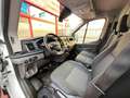 Ford Transit FT 310 L3 Van Ambiente 130 Blanco - thumbnail 8