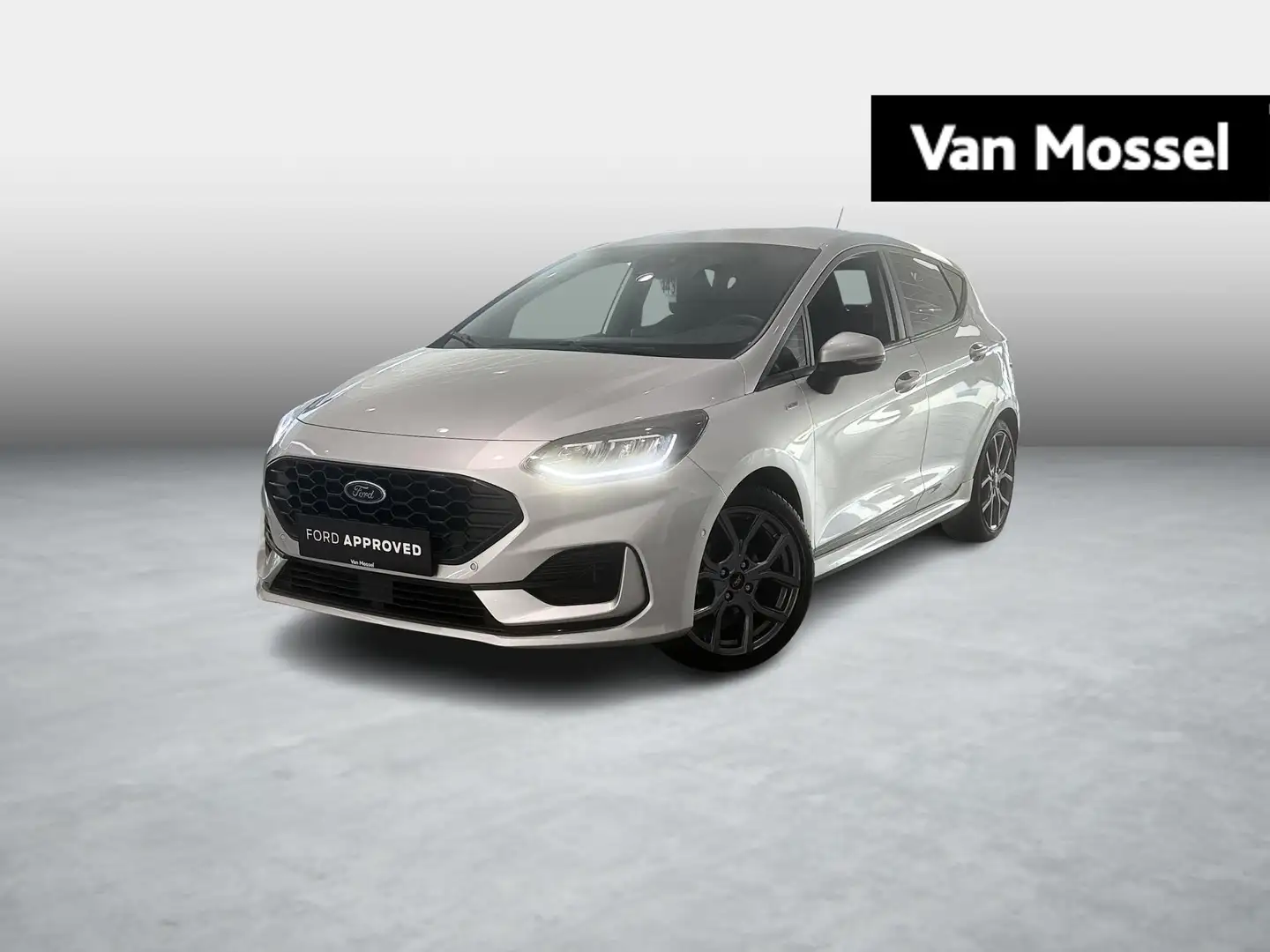 Ford Fiesta ST-Line - Camera - Winterpack - Adaptive Cruise Fo Zilver - 1