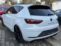 SEAT Leon Cupra 290 *1. Hand *ACC *Pano *DSG Grau - thumbnail 3