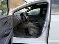 SEAT Leon Cupra 290 *1. Hand *ACC *Pano *DSG Grau - thumbnail 10