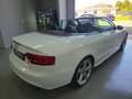 Audi A5 A5 I 2007 Cabriolet Cabrio 2.0 tfsi multitronic Weiß - thumbnail 2