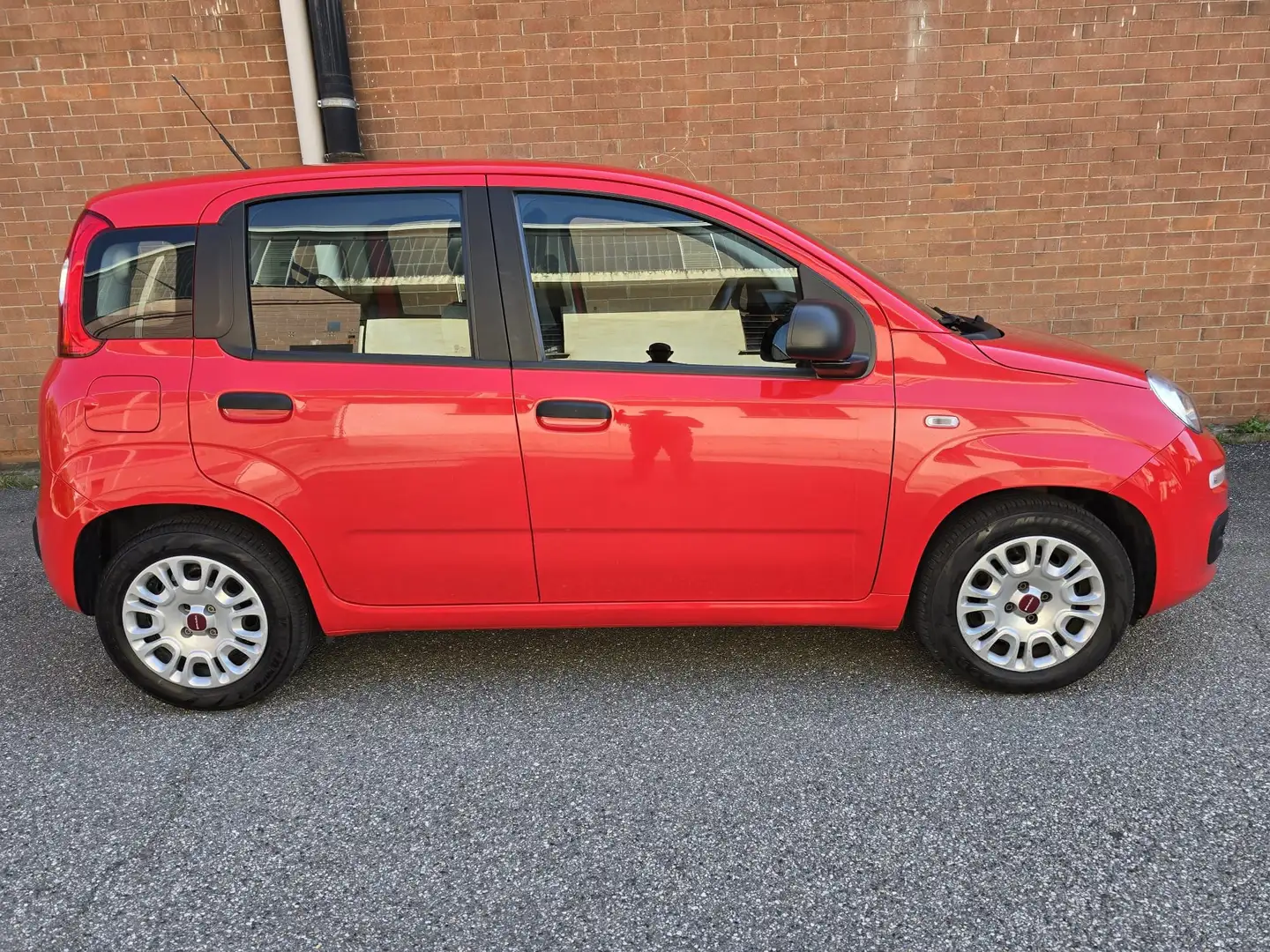 Fiat Panda Panda 1.0 firefly hybrid s Rojo - 1