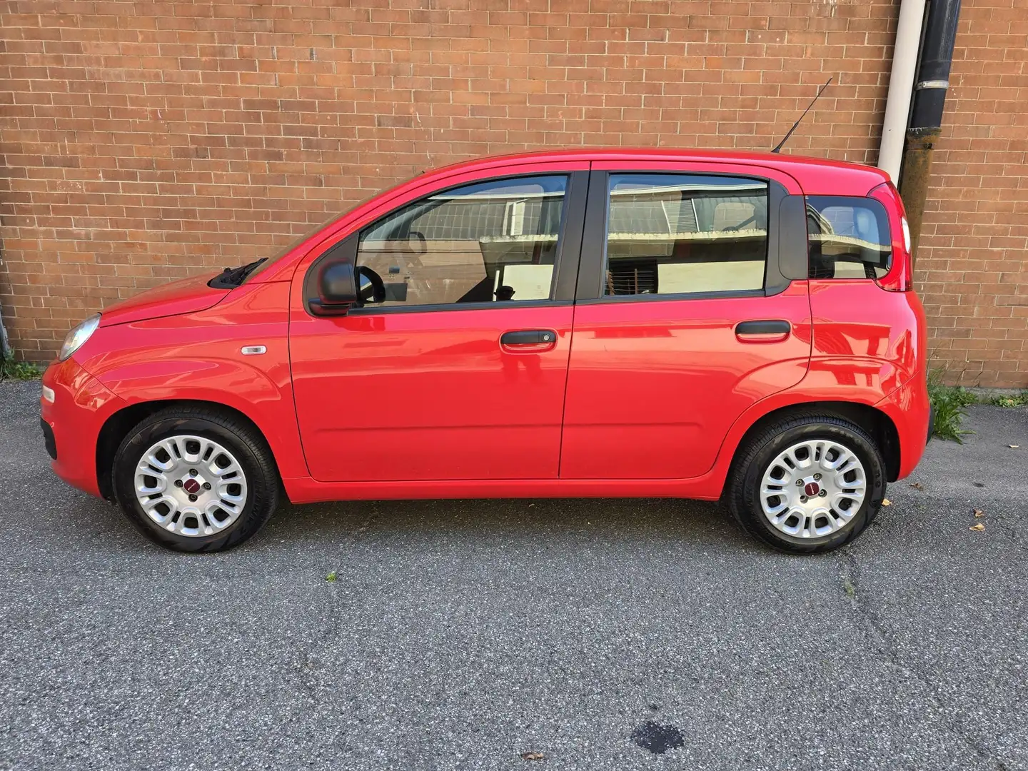 Fiat Panda Panda 1.0 firefly hybrid s Rojo - 2