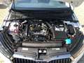 Skoda Fabia STYLE 1.0 TSI *BLACK WEEK SPAR-DEAL* Klima Weiß - thumbnail 14