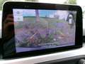 Ford Focus Cool & Connect Gris - thumbnail 12
