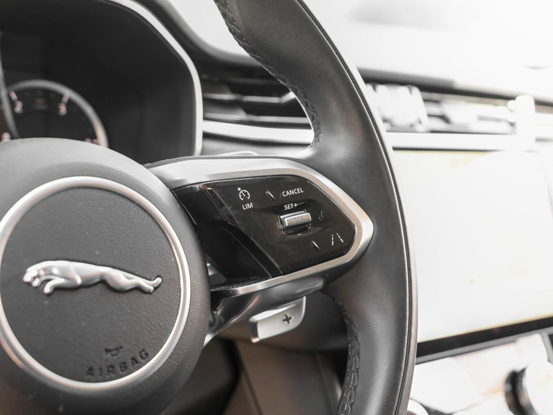 Jaguar F-Pace D165 AWD S NAVI PIVI KLIMA LEDER SHZ PDC — photo 8