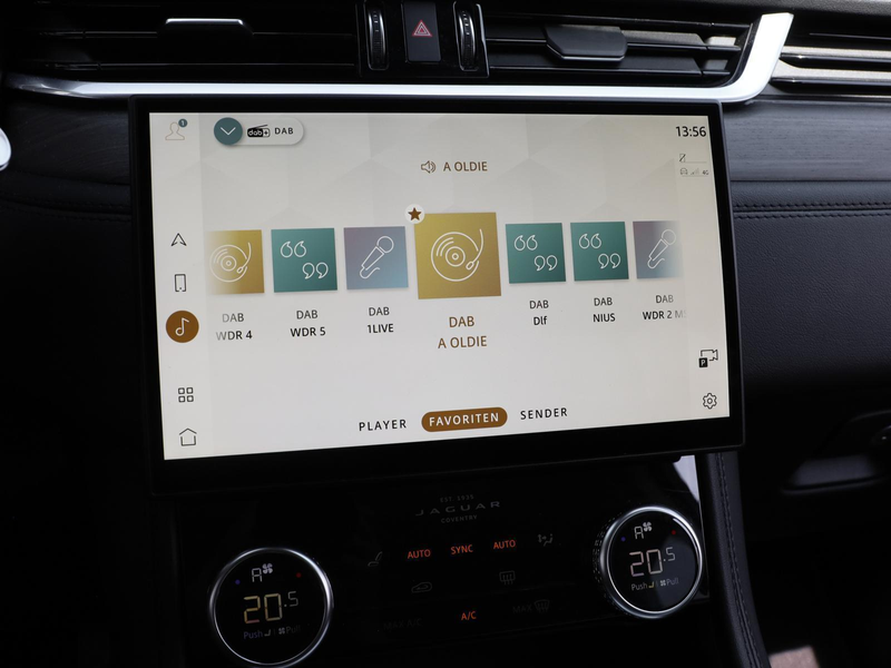 Jaguar F-Pace D165 AWD S NAVI PIVI KLIMA LEDER SHZ PDC — photo 15